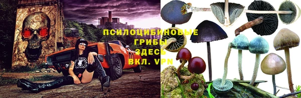 гашик Вязьма