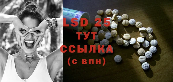 гашик Вязьма