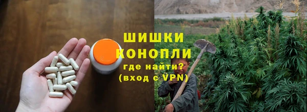 гашик Вязьма