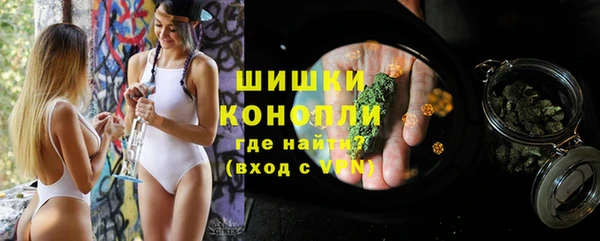 гашик Вязьма