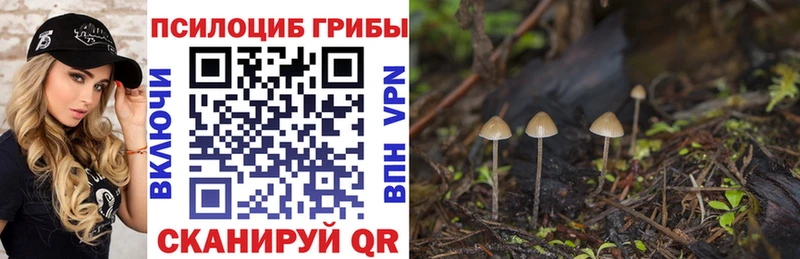Галлюциногенные грибы GOLDEN TEACHER  купить  цена  Благовещенск 